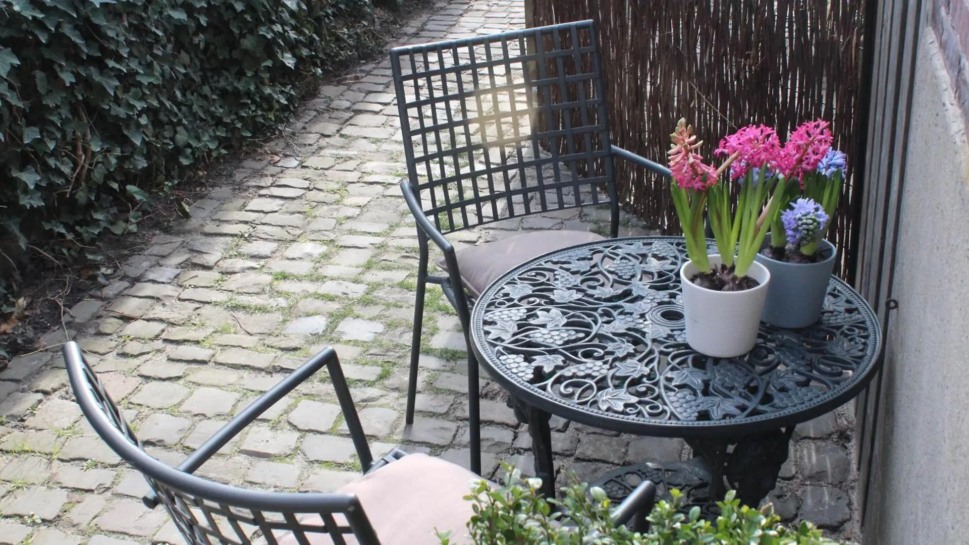 Bed & Breakfast Hof, A Luxury B&B In The Center Of Eindhoven